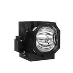 OSRAM TV Lamp Assembly For SAMSUNG SP50L2HX1X/RAD